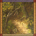 Sherwood Forest